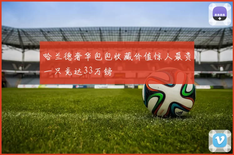 哈兰德奢华包包收藏价值惊人最贵一只竟达33万镑